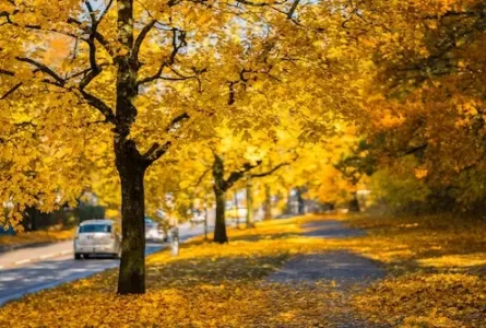 8 Tips for Driving in the Fall in Nevada
