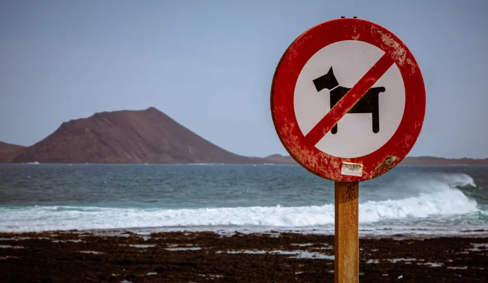 Does Nevada Have a Ban on Dog Breed Discrimination?