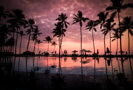 Who Might Be Liable for a Drowning Accident?