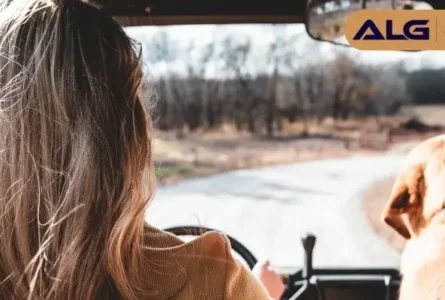 8 Tips for Driving in the Fall in Nevada