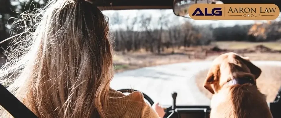 8 Tips for Driving in the Fall in Nevada