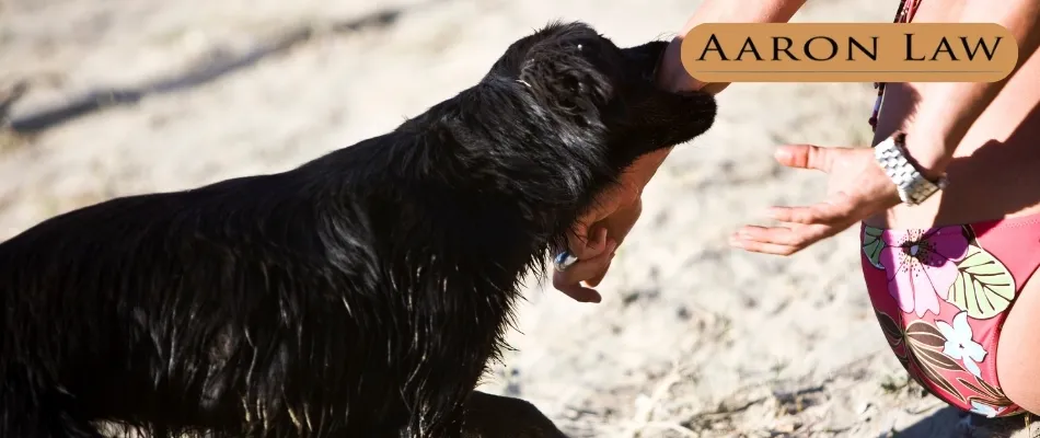 Can Dog Bites Be Deadly?